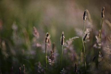 更黑暗更成熟《忍者神龟：最后的浪人》ARPG开发中